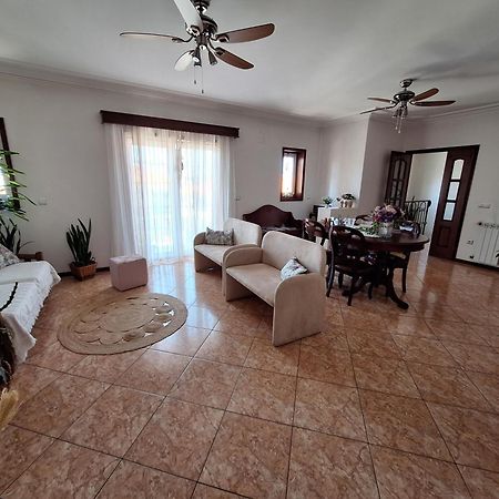 Ana Paula House Apartment Aveiro Bagian luar foto