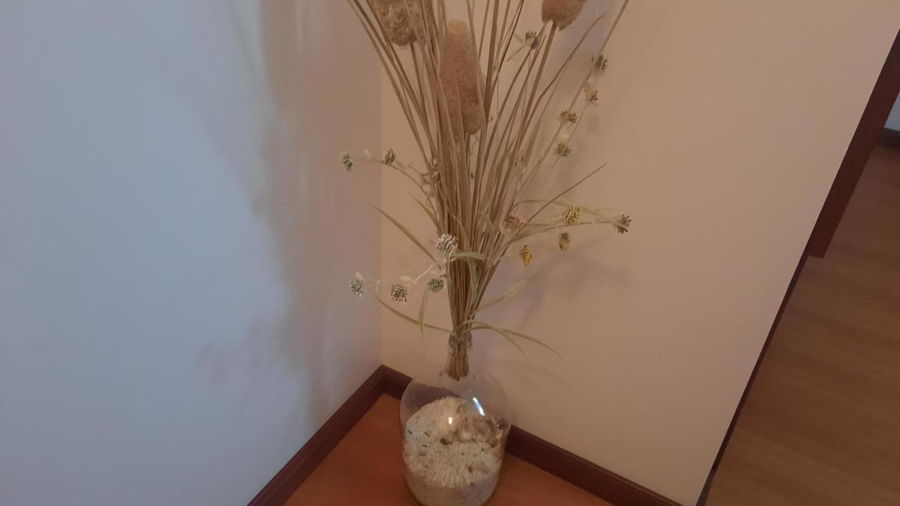 Ana Paula House Apartment Aveiro Bagian luar foto